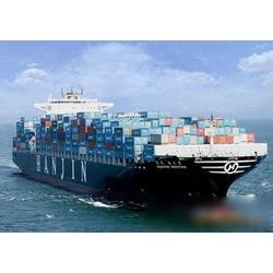 全球供應(yīng)鏈的堅(jiān)實(shí)橋梁 國(guó)際海運(yùn)貨代行業(yè)深度解析